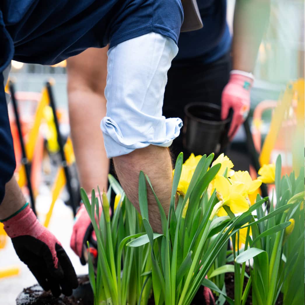 ESG Impact - Explore More